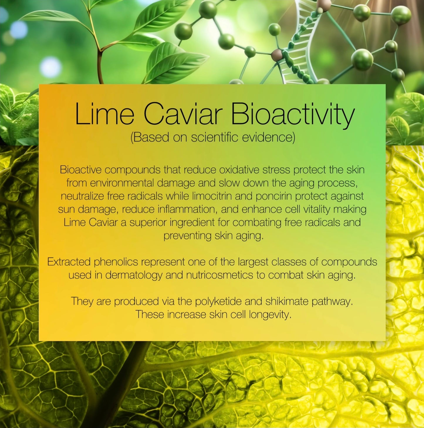 Lime Caviar Serum