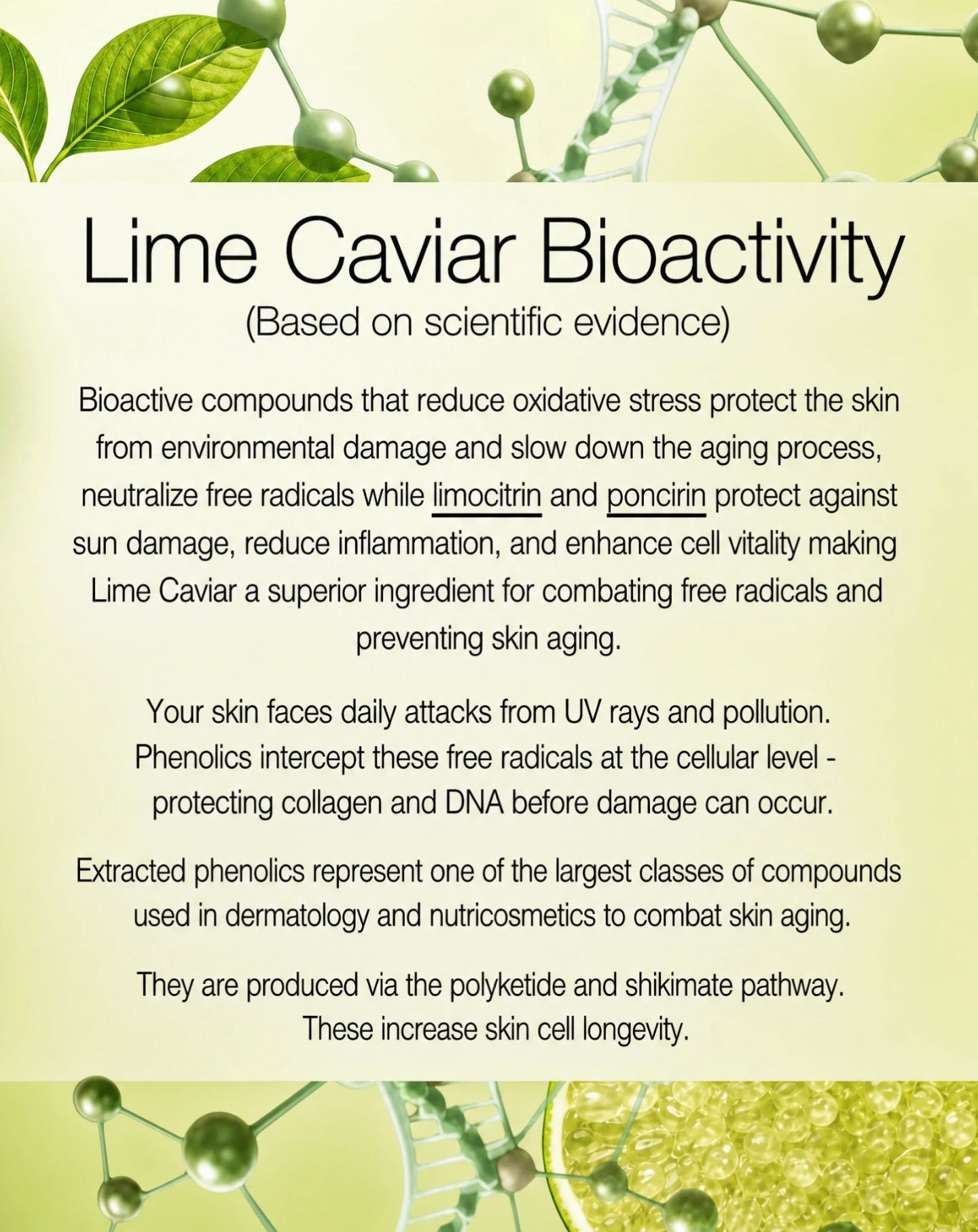 Lime Caviar Face Serum