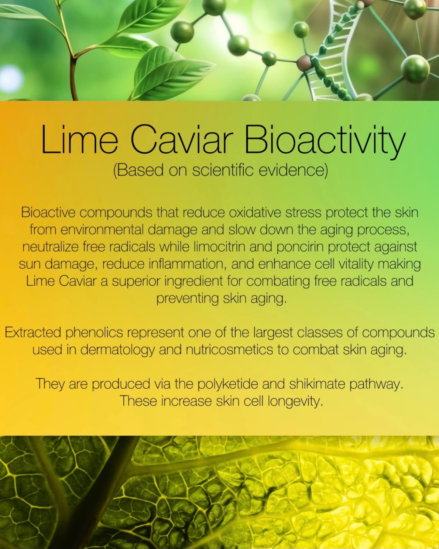 Lime Caviar Face Moisturiser